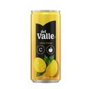 DEL VALLE MANGA 290ML LATA