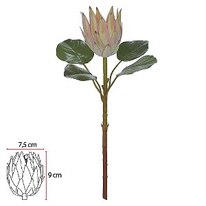 H.PROTEA FROSTED C/COAT (SALMON) 50cm (FLORARTE)
