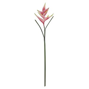 H.HELICONIA REAL TOQUE (ROSA) 87cm (FLORARTE)