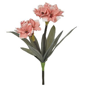 H.AMARILIS C/POWDER X10 (ROSA OUTONO) 68cm (FLORARTE)