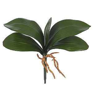 F.FOLHA ORQUIDEA PHALAENOPSIS C/ARAME X5 (VERDE) 26cm (FLORARTE)