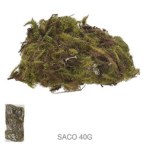 MUSGO NATURAL (SACO 40G  VERDE) (FLORARTE)