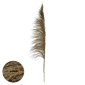 PLUMA PENDAO CANABRAVA C/ 3 HASTES DESIDRATADO (NATURAL) 150CM (FLORARTE)