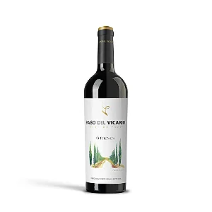 Pago Del Vicario 06 meses Tempranillo/Garnacha/Merlot e Petit Verdot