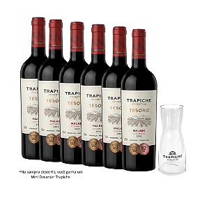 Kit Trapiche Tesoro Malbec
