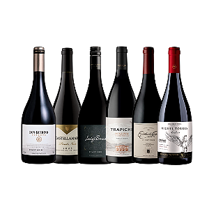 Kit Pinot Noir Especial Novo Mundo