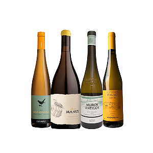 Kit Apaixonados por Vinho Verde