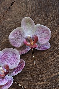 Grampo Orquídea R