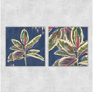 Conjunto de 2 quadros - Série Brasilidades - Coleção Assinada: Cris Ferreira