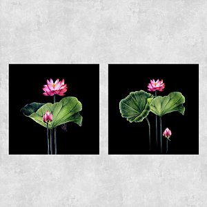 Conjunto de 2 quadros - Flor de Lotus - Série Botanic