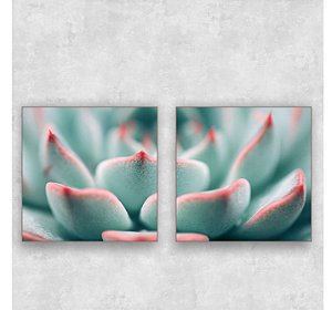 Conjunto de 2 quadros - Suculenta em Detalhes- Série Botanic