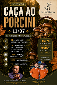 Caça ao Porcini