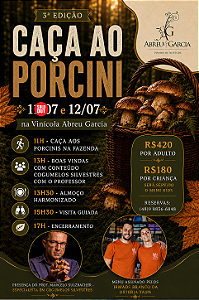 Caça ao Porcini - 12.07