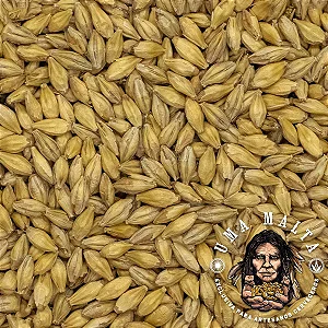 Malte Uma Malta Caradextrina 100g
