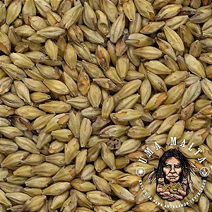 Malte Uma Malta Melanoidina 1kg