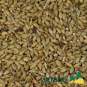 Malte Agraria Munique 100g