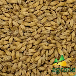 Malte Pale Agraria 1kg