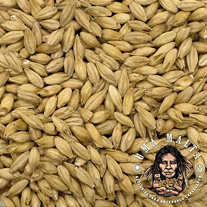 Malte Uma Malta Pilsen 1kg