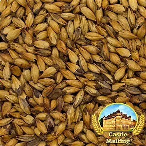 Malte Chateau Special B 100g