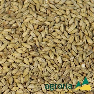 Malte Agraria Vienna 1kg