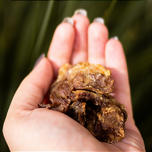 Carne ovina (100g) - LUV