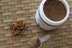 Booster fly (250g) - Lecker