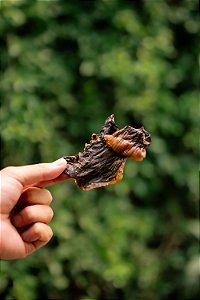 Coração Suíno (150g) - Raw Raw