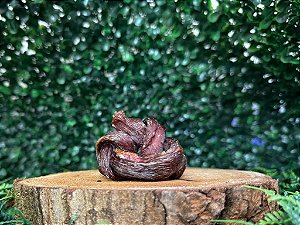 Esôfago suíno (10 un.) - Lecker