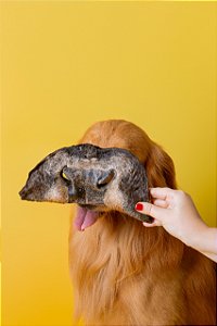 Focinho Bovino (5 un.) - Paparico