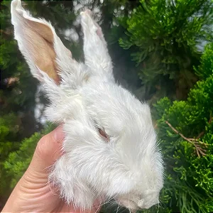 Cabeça de Coelho (1 un.) - Raw Raw