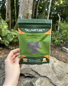 Rondelli suíno (4 un.) - All Nature