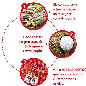 Glutamato Monossódico - Ajinomoto