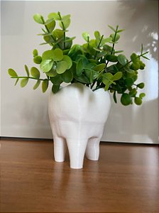Vaso Dente