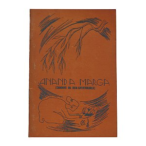 Ananda Marga (Caminho da bem-aventurança)