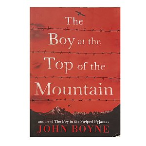 The Boy At The Top Of The Mountain - John Boyne