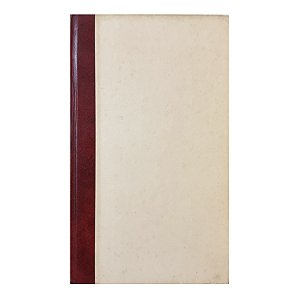 O Todo-Poderoso - Irving Wallace
