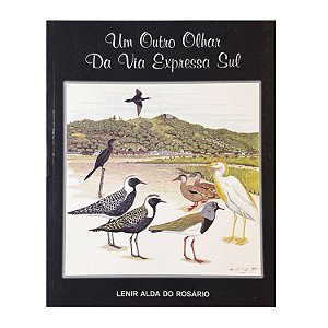 Um Outro Olhar Da Vida Expressa Sul - Lenir Alda Do Rosário