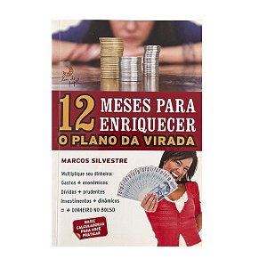12 Meses Para Enriquecer - Marcos Silvestre