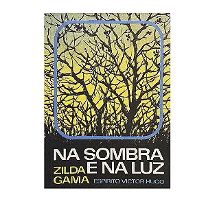 Na Sombra E Na Luz - Zilda Gama