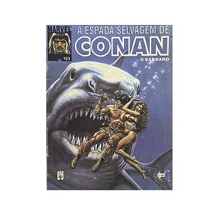 A Espada Selvagem De Conan O Bárbaro - Nº 103