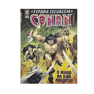 A Espada Selvagem De Conan O Bárbaro - Nº 43