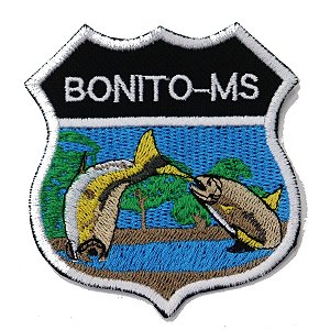 Patch Bordado Rota Bonito - MS 8x7cm