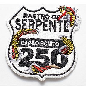 Patch Bordado Placas Rastro Da Serpente Br250 7x7,5cm