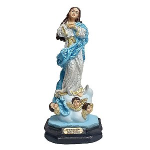 Imagem Nossa Senhora Imaculada Conceição Resina 14cm santa