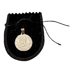 PINGENTE Aço INOX PRATEADO REDONDO SIGNO VIRGEM 2,5 cm