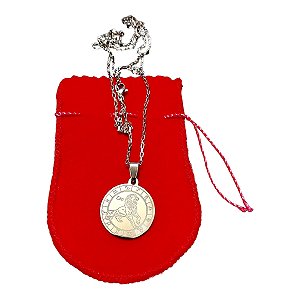 COLAR corrente AÇO INOX 60CM tijolinho pingente SIGNO leão