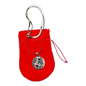 COLAR corrente AÇO INOX Snake 45 cm pingente signo sagitario