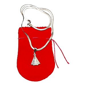 COLAR corrente AÇO INOX Snake pingente N SENHORA APARECIDA