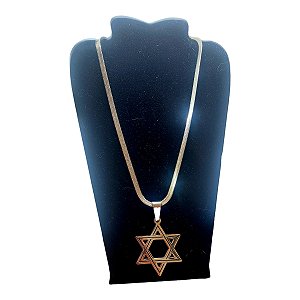 Corrente colar Aço Inox Snake Serpente Estrela Davi grande