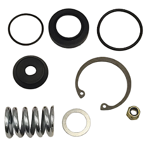 Reparo Válvula Regulador de Fluxo AC155 AC156A PGRT 94 124